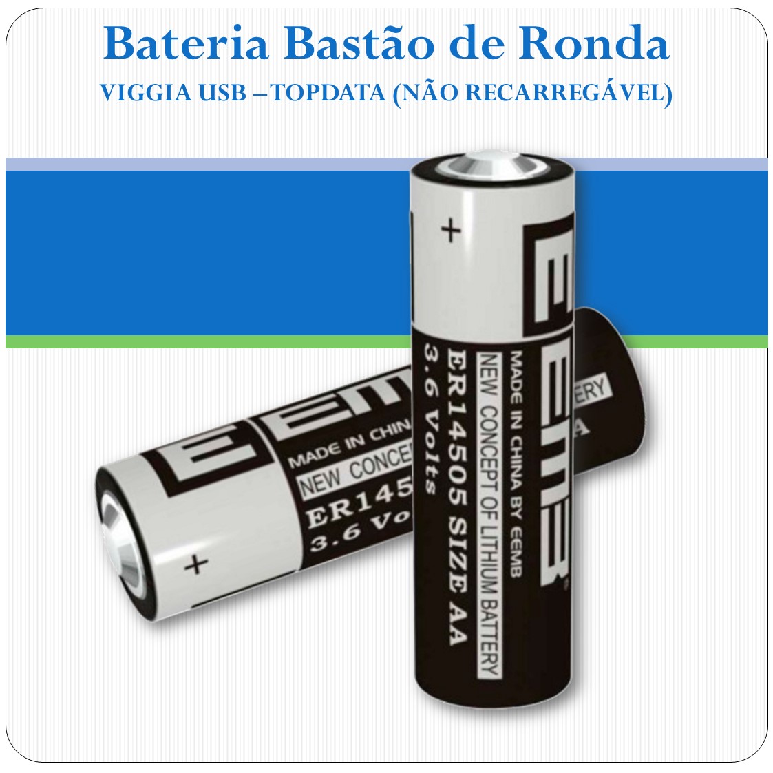 Bateria Bastão de Ronda - Viggia USB - Topdata